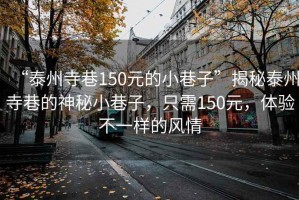 “泰州寺巷150元的小巷子”揭秘泰州寺巷的神秘小巷子，只需150元，體驗(yàn)不一樣的風(fēng)情