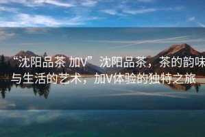 “沈陽品茶 加V”沈陽品茶，茶的韻味與生活的藝術(shù)，加V體驗的獨特之旅