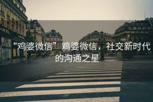 “雞婆微信”雞婆微信，社交新時(shí)代的溝通之星