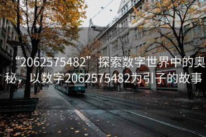 “2062575482”探索數(shù)字世界中的奧秘，以數(shù)字2062575482為引子的故事