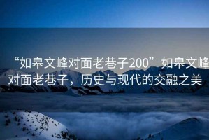 “如皋文峰對面老巷子200”如皋文峰對面老巷子，歷史與現代的交融之美