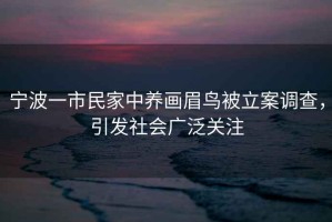 寧波一市民家中養(yǎng)畫眉鳥被立案調查，引發(fā)社會廣泛關注