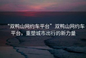 “雙鴨山網(wǎng)約車平臺”雙鴨山網(wǎng)約車平臺，重塑城市出行的新力量