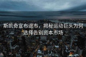 斯凱奇宣布退市，揭秘運動巨頭為何選擇告別資本市場