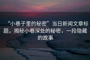 “小巷子里的秘密”當(dāng)日新聞文章標(biāo)題，揭秘小巷深處的秘密，一段隱藏的故事