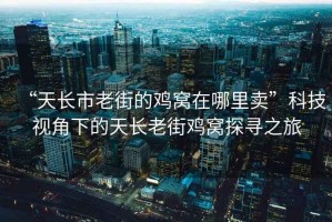 “天長市老街的雞窩在哪里賣”科技視角下的天長老街雞窩探尋之旅