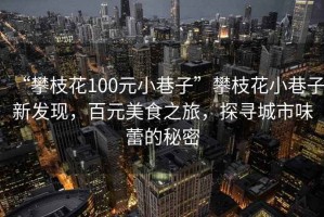 “攀枝花100元小巷子”攀枝花小巷子新發(fā)現(xiàn)，百元美食之旅，探尋城市味蕾的秘密