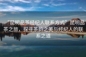 “昆明品茶經紀人聯(lián)系方式”昆明品茶之旅，探尋茶韻之美與經紀人的聯(lián)系之道