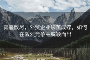 霧霾散盡，外貿(mào)企業(yè)破繭成蝶，如何在激烈競爭中脫穎而出