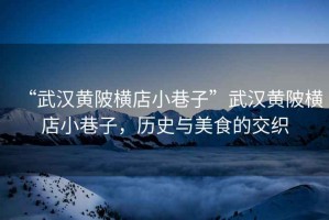 “武漢黃陂橫店小巷子”武漢黃陂橫店小巷子，歷史與美食的交織