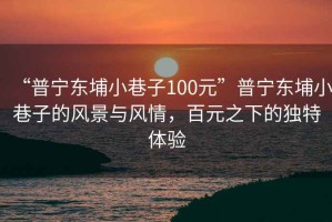 “普寧東埔小巷子100元”普寧東埔小巷子的風(fēng)景與風(fēng)情，百元之下的獨(dú)特體驗(yàn)