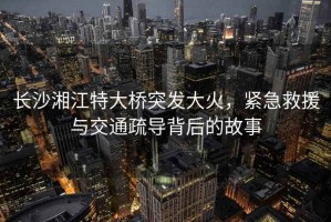 長沙湘江特大橋突發(fā)大火，緊急救援與交通疏導(dǎo)背后的故事