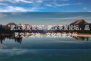 “武漢茶友論壇”武漢茶友論壇，品茗交流之地，文化傳承之所