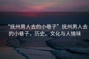 “撫州男人去的小巷子”撫州男人去的小巷子，歷史、文化與人情味