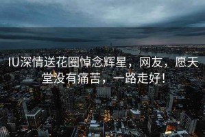 IU深情送花圈悼念輝星，網(wǎng)友，愿天堂沒有痛苦，一路走好！