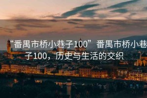 “番禺市橋小巷子100”番禺市橋小巷子100，歷史與生活的交織