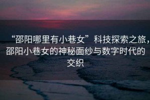 “邵陽哪里有小巷女”科技探索之旅，邵陽小巷女的神秘面紗與數(shù)字時(shí)代的交織