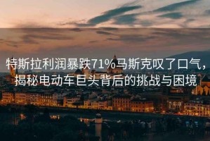 特斯拉利潤(rùn)暴跌71%馬斯克嘆了口氣，揭秘電動(dòng)車巨頭背后的挑戰(zhàn)與困境