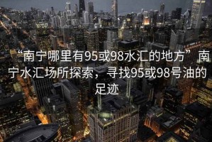 “南寧哪里有95或98水匯的地方”南寧水匯場所探索，尋找95或98號油的足跡
