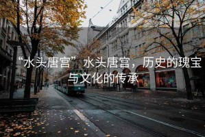 “水頭唐宮”水頭唐宮，歷史的瑰寶與文化的傳承
