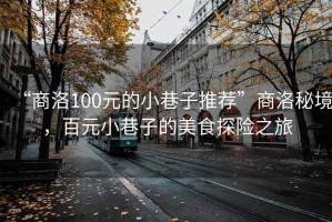 “商洛100元的小巷子推薦”商洛秘境，百元小巷子的美食探險之旅