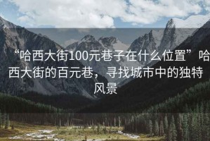 “哈西大街100元巷子在什么位置”哈西大街的百元巷，尋找城市中的獨(dú)特風(fēng)景