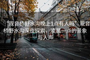 “觀音橋野水溝晚上1點有人嗎”觀音橋野水溝深夜探索，凌晨一點的景象與人聲
