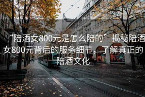 “陪酒女800元是怎么陪的”揭秘陪酒女800元背后的服務細節(jié)，了解真正的陪酒文化