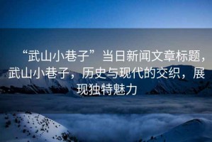 “武山小巷子”當日新聞文章標題，武山小巷子，歷史與現(xiàn)代的交織，展現(xiàn)獨特魅力