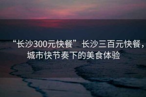 “長沙300元快餐”長沙三百元快餐，城市快節(jié)奏下的美食體驗(yàn)