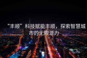 “豐順”科技賦能豐順，探索智慧城市的無限潛力