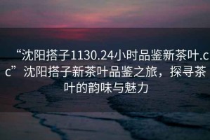 “沈陽搭子1130.24小時品鑒新茶葉.cc”沈陽搭子新茶葉品鑒之旅，探尋茶葉的韻味與魅力