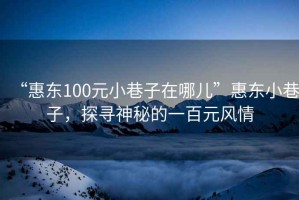 “惠東100元小巷子在哪兒”惠東小巷子，探尋神秘的一百元風情
