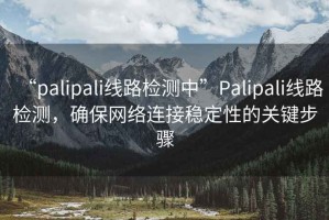 “palipali線路檢測中”Palipali線路檢測，確保網(wǎng)絡連接穩(wěn)定性的關(guān)鍵步驟