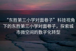 “東勝第三小學(xué)對(duì)面巷子”科技視角下的東勝第三小學(xué)對(duì)面巷子，探索城市微空間的數(shù)字化轉(zhuǎn)型