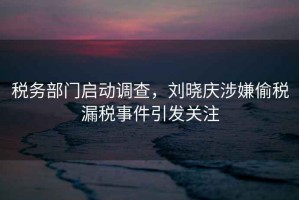 稅務(wù)部門啟動(dòng)調(diào)查，劉曉慶涉嫌偷稅漏稅事件引發(fā)關(guān)注