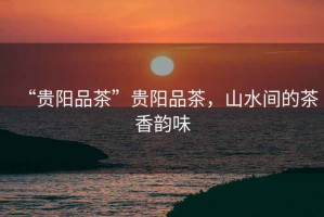 “貴陽品茶”貴陽品茶，山水間的茶香韻味