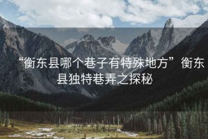 “衡東縣哪個(gè)巷子有特殊地方”衡東縣獨(dú)特巷弄之探秘