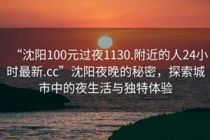 “沈陽100元過夜1130.附近的人24小時(shí)最新.cc”沈陽夜晚的秘密，探索城市中的夜生活與獨(dú)特體驗(yàn)