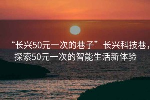 “長興50元一次的巷子”長興科技巷，探索50元一次的智能生活新體驗