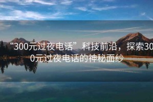 “300元過夜電話”科技前沿，探索300元過夜電話的神秘面紗