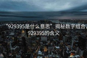 “929395是什么意思”揭秘數字組合，929395的含義