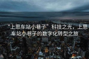 “上思車站小巷子”科技之光，上思車站小巷子的數(shù)字化轉(zhuǎn)型之旅