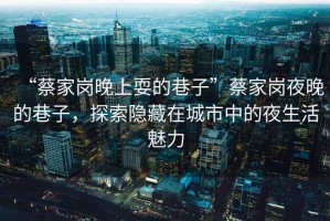 “蔡家崗晚上耍的巷子”蔡家崗夜晚的巷子，探索隱藏在城市中的夜生活魅力