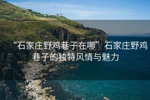 “石家莊野雞巷子在哪”石家莊野雞巷子的獨(dú)特風(fēng)情與魅力
