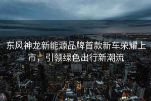 東風(fēng)神龍新能源品牌首款新車(chē)榮耀上市，引領(lǐng)綠色出行新潮流