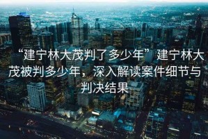 “建寧林大茂判了多少年”建寧林大茂被判多少年，深入解讀案件細節(jié)與判決結(jié)果