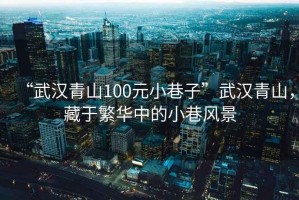 “武漢青山100元小巷子”武漢青山，藏于繁華中的小巷風(fēng)景