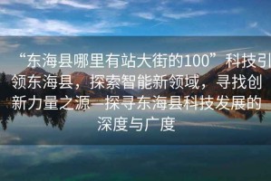 “東?？h哪里有站大街的100”科技引領(lǐng)東?？h，探索智能新領(lǐng)域，尋找創(chuàng)新力量之源—探尋東海縣科技發(fā)展的深度與廣度