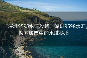 “深圳9598水匯攻略”深圳9598水匯，探索城市中的水域秘境